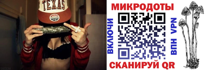 Галлюциногенные грибы ЛСД  купить наркотик  Новоузенск 