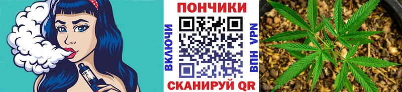Каннабис VHQ  Новоузенск 
